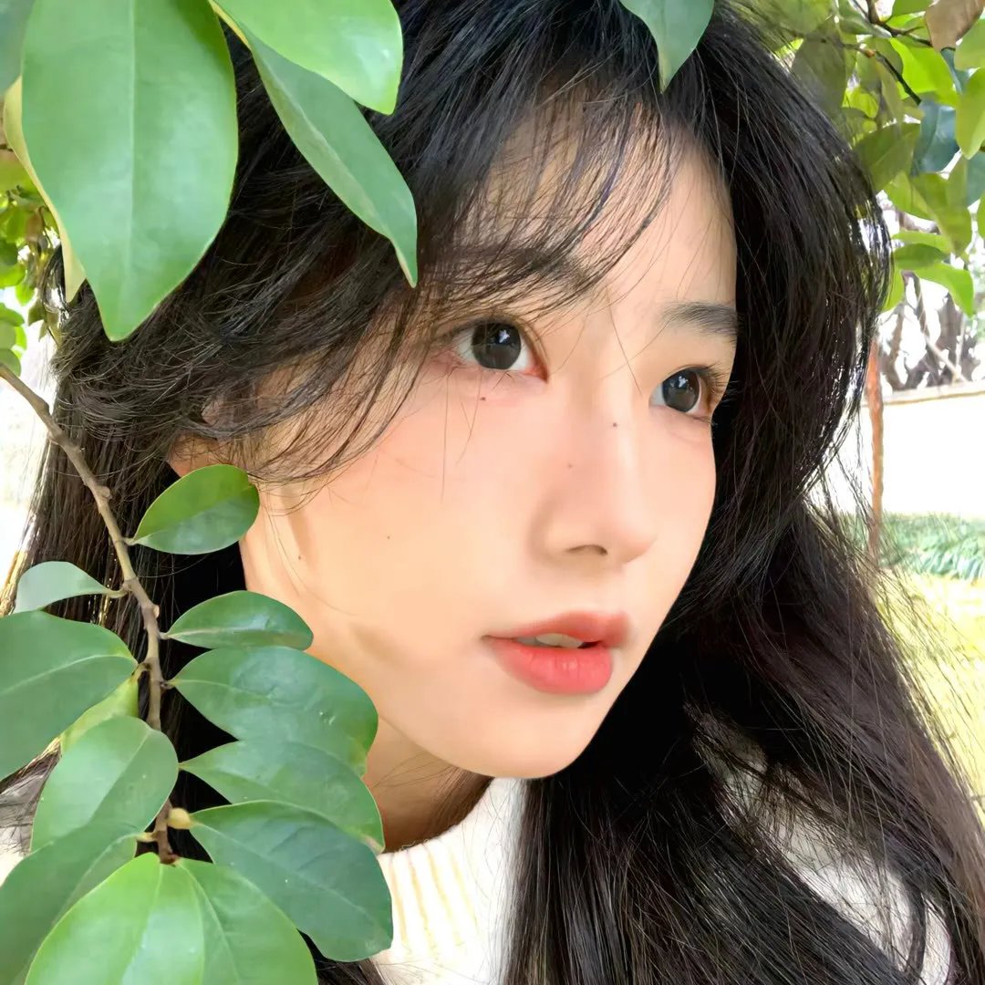 生命的力量